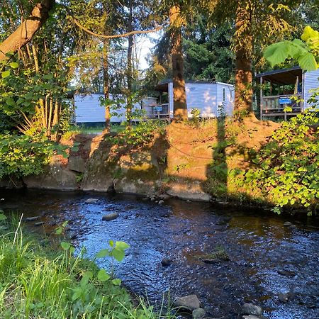 S-Chalet Camping Mit Comfort Im Schwarzwald Steinach  Extérieur photo