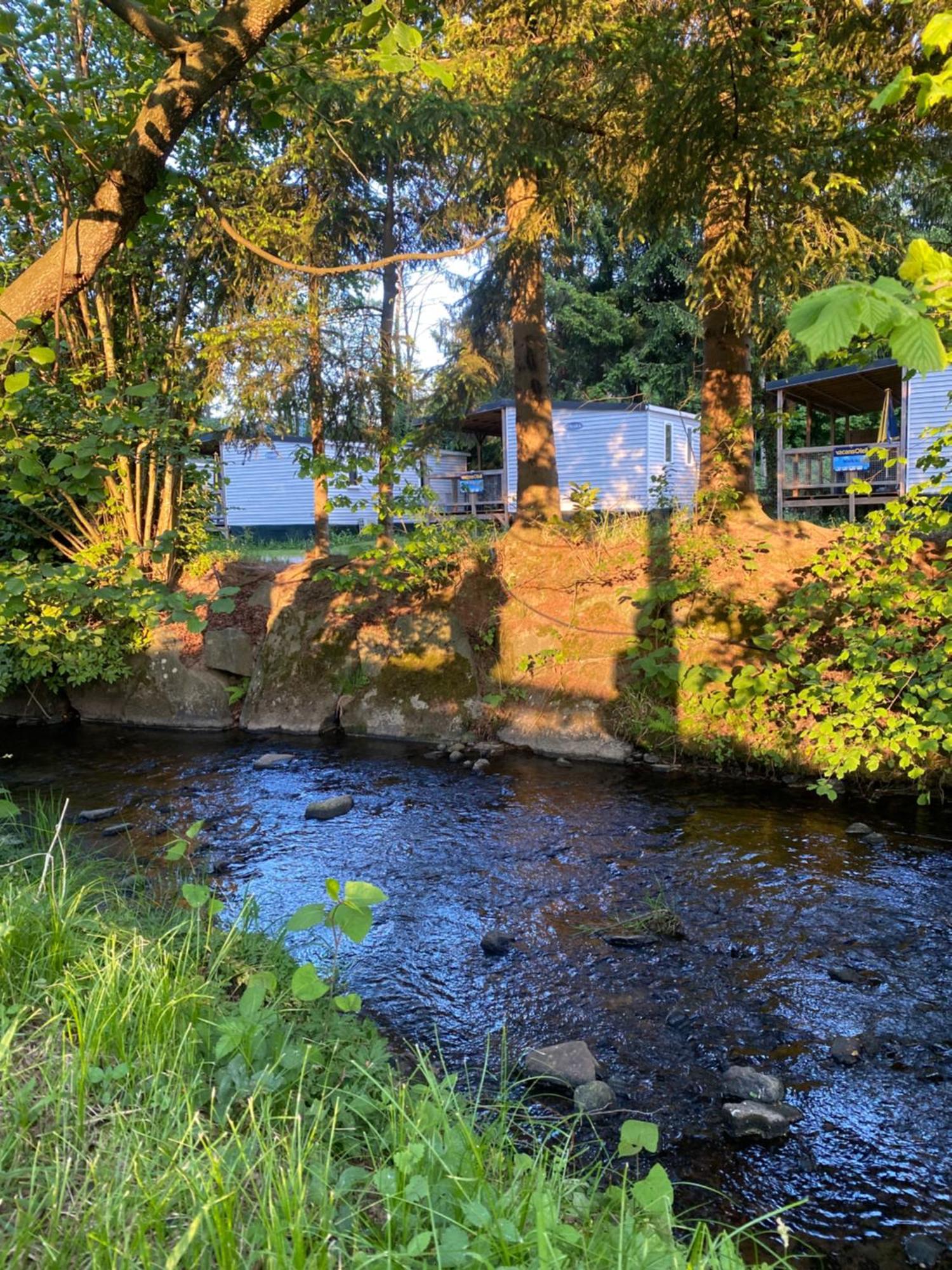 S-Chalet Camping Mit Comfort Im Schwarzwald Steinach  Extérieur photo